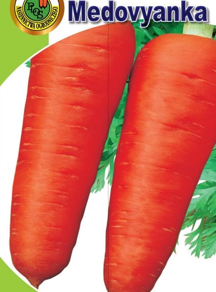morkovmedovianka