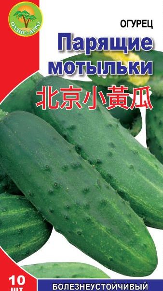 oguretzpariaschiemotulki