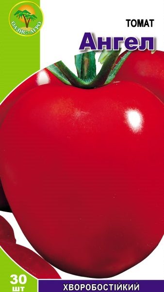 tomatAngel