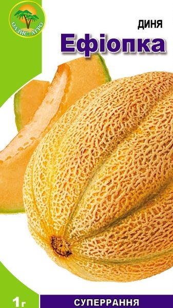duniaEfiopka