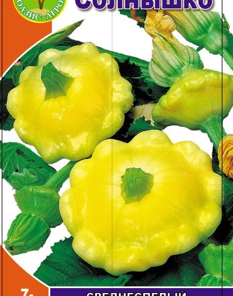 patisonSolnushko