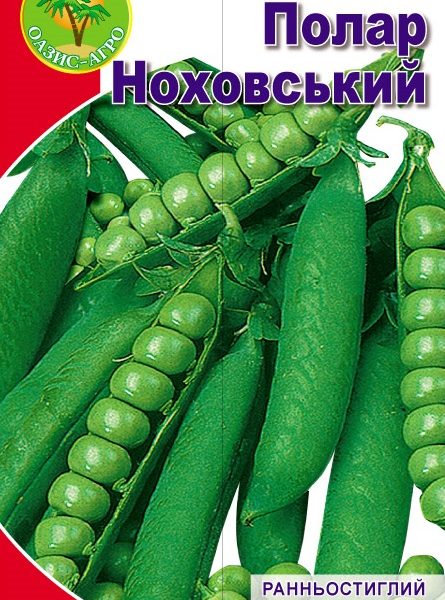 gorohPolarNohovskiy