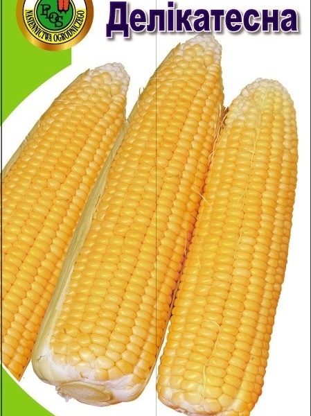 kukuruzaDelikatesna