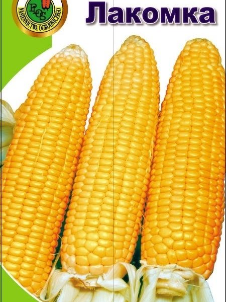 kukuruzaLakomka