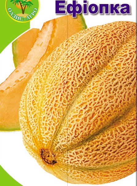 duniaEfiopka